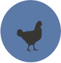 עיגול כחול עם תרנגולת לול ש.ח. מהנדסים ויועצים